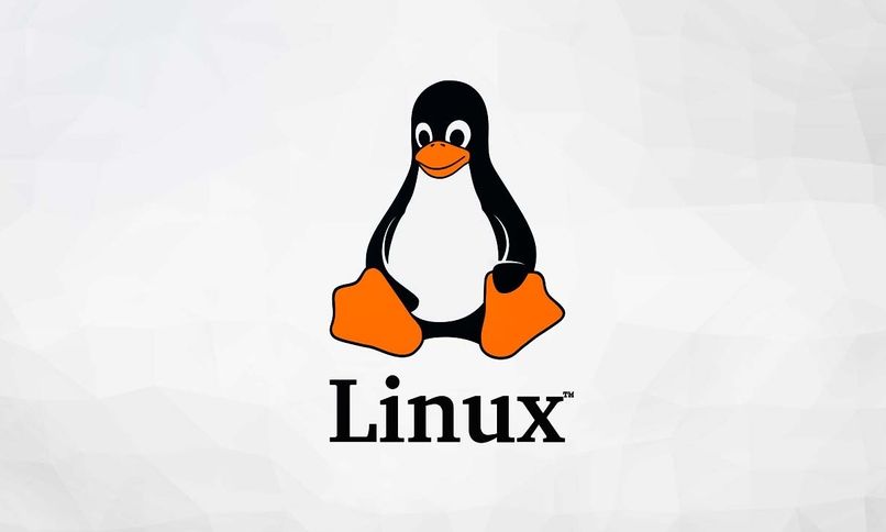 Cómo habilitar el inicio de sesión SSH en Linux - Configuración avanzada | Descubra cómo hacerlo