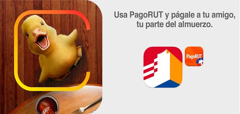 pagorut dispuesto a ir