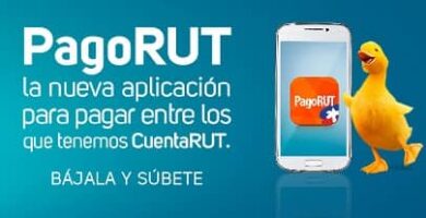 instalar aplicacion pagorut