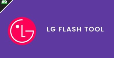 logo de lg con nombre de programa lg flash tool