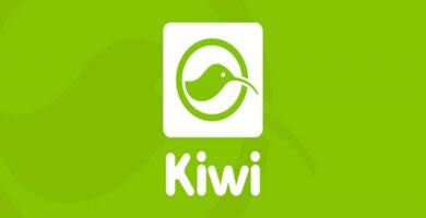 app preguntas kiwi