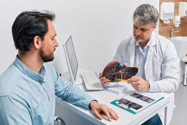 Doctor mostrando un modelo de hígado a un paciente