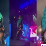 Karol g mostrando el culo en la tarima