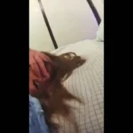Un verdadero regalo para una mujer con una muy buena amiga.